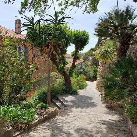Bright 29M With Nice View In Bormes-Les-Mimosas Apartman Kültér fotó