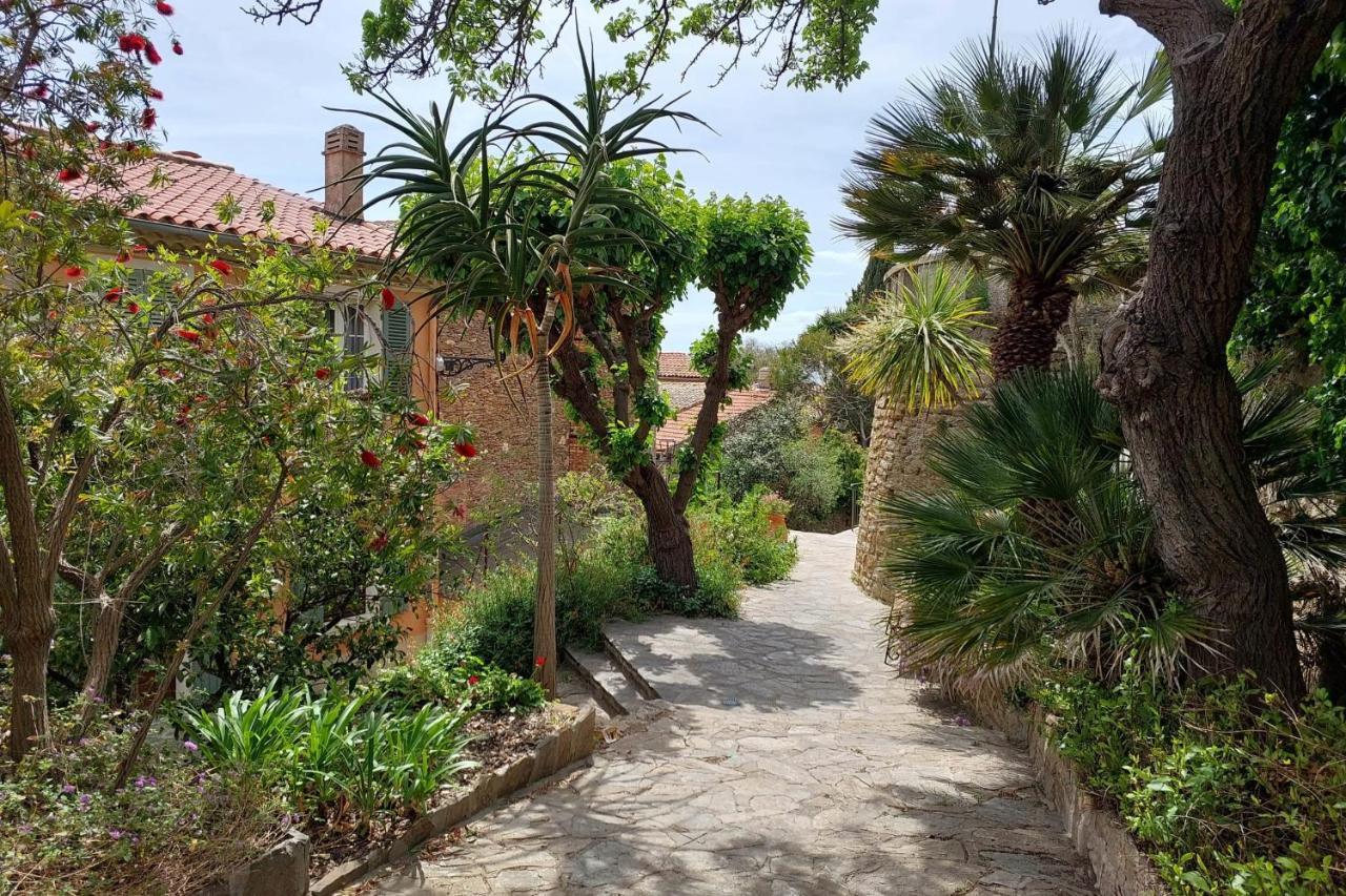 Bright 29M With Nice View In Bormes-Les-Mimosas Apartman Kültér fotó